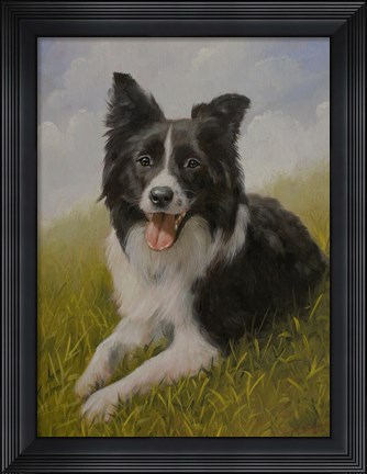 Framed Border Collie 8 Print