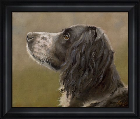 Framed Spaniel Print