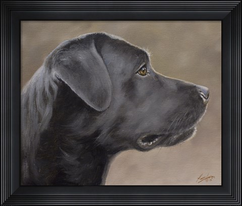 Framed Black Lab 14 Print
