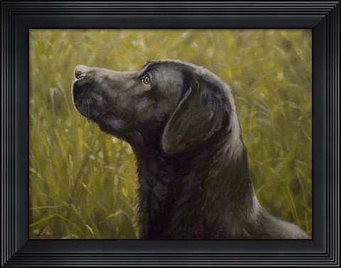 Framed Black Lab 15 Print