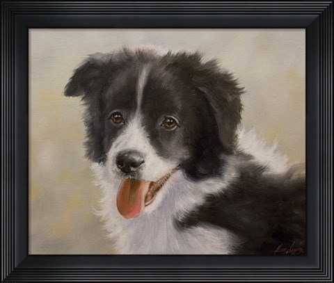 Framed Border Collie 11 Print