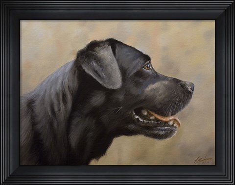 Framed Black Lab 16 Print
