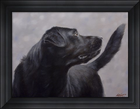 Framed Black Lab 17 Print