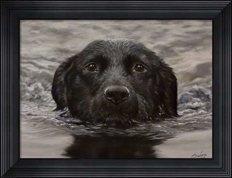 Framed Black Lab 20 Print