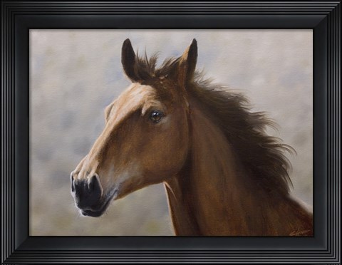 Framed Horse Print