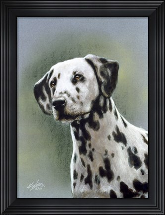 Framed Dalmatian 1 Print