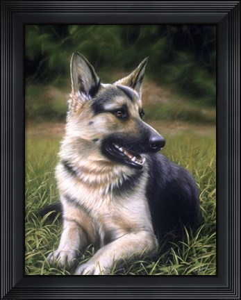 Framed Alsatian Print