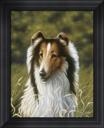 Framed Lassie Print