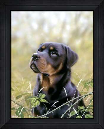 Framed Spirit Of Loyalty Print