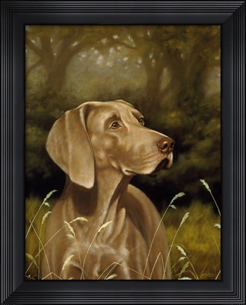 Framed Searching Print