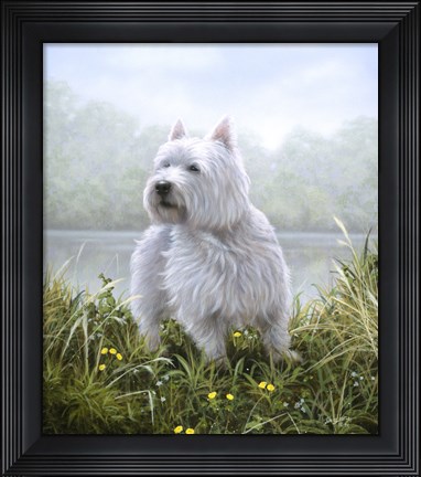 Framed Westie 5 Print