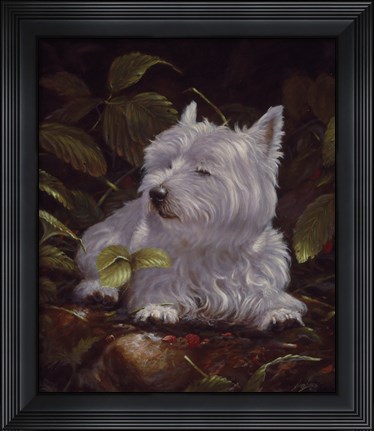 Framed Westie 6 Print