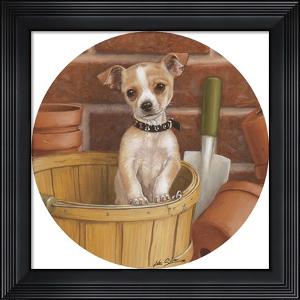 Framed Chihuahua In Basket Print