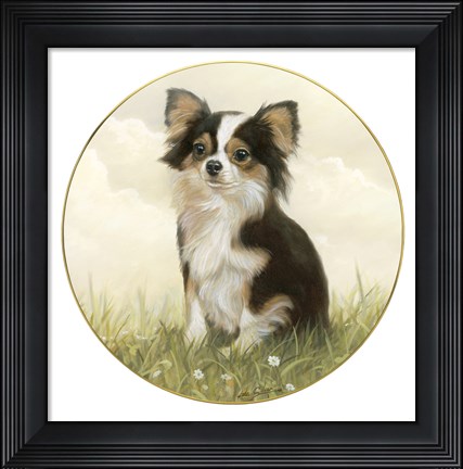 Framed Chihuahua in Field Print