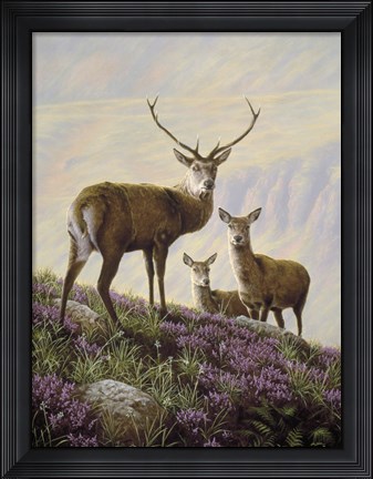 Framed Deer Print