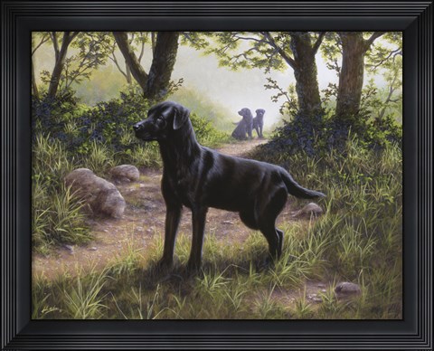 Framed On Alert Print