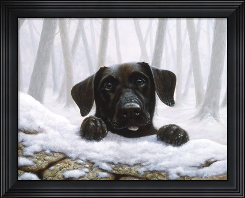 Framed Frozen Print