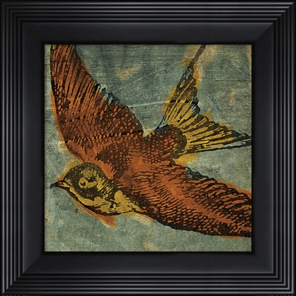 Framed Bird Collage No 1 Print
