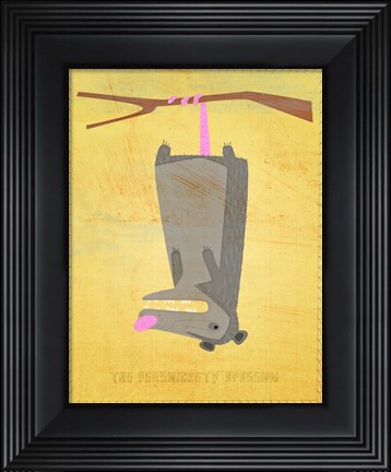 Framed Persnickety Opossum Print