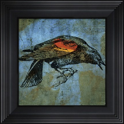 Framed Redwing Blackbird Print