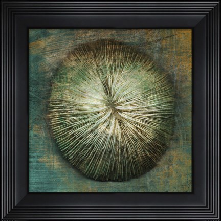 Framed Coral Print