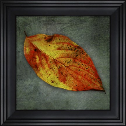 Framed Dogwood Yellow Print