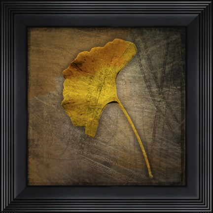 Framed Gingko 1 Print