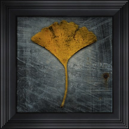 Framed Gingko 2 Print