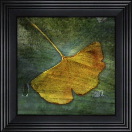 Framed Gingko 3 Print