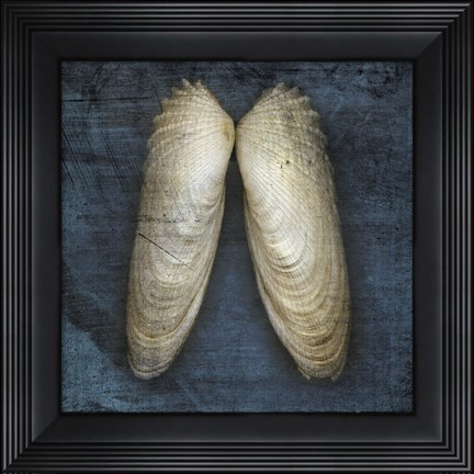 Framed Angel Wings Print