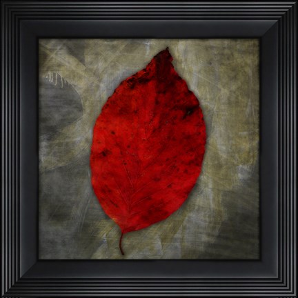 Framed Red Dogwood Print