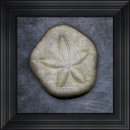 Framed Sea Biscuit Print