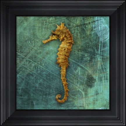 Framed Seahorse Print