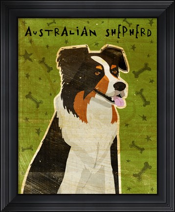 Framed Australian Shepherd Print