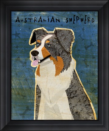 Framed Australian Shepherd Blue Merle Print