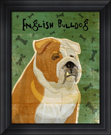 Framed English Bulldog Tan and White Print