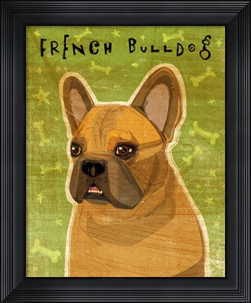 Framed French Bulldog Fawn Print