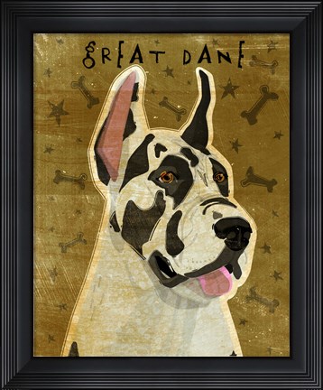 Framed Harlequin Great Dane 1 Print
