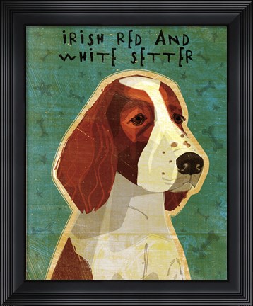 Framed Irish Red and White Setter Print