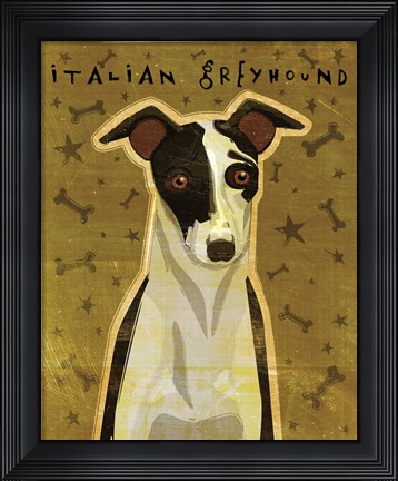 Framed Italian Greyhound - Black and White Print