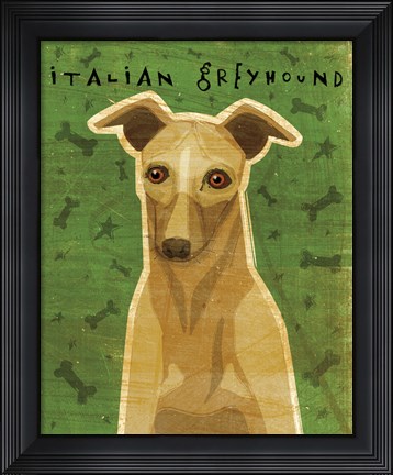 Framed Italian Greyhound - Fawn Print