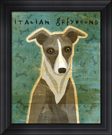 Framed Italian Greyhound - White and Grey Print