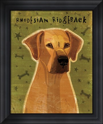 Framed Rhodesian Ridgeback Print