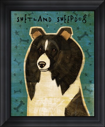 Framed Shetland Sheepdog - Black and White Print