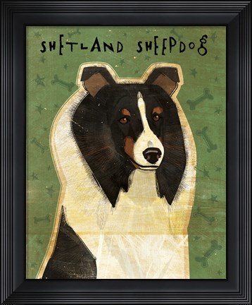 Framed Shetland Sheepdog - Tri-Color Print