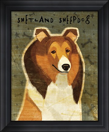 Framed Shetland Sheepdog Print