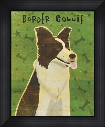 Framed Border Collie Print