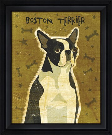 Framed Boston Terrier Print