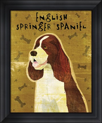Framed English Springer Spaniel Print