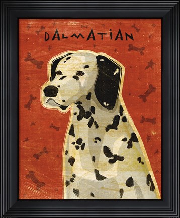 Framed Dalmation Print